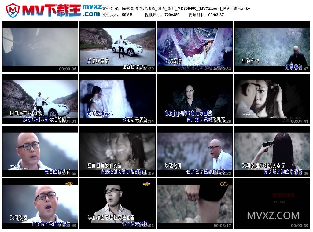 陈依然-爱情玫瑰花_国语_流行_MD305400